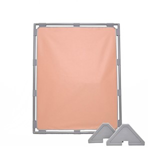 Single Big Screen Playpanel